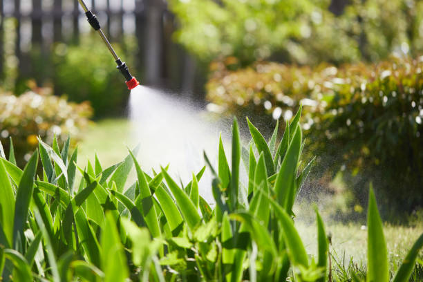 24/7 Emergency Mosquito Control experts in North Lewisburg, OH