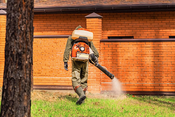 Top rated local Mosquito Control specialists in North Lewisburg, OH